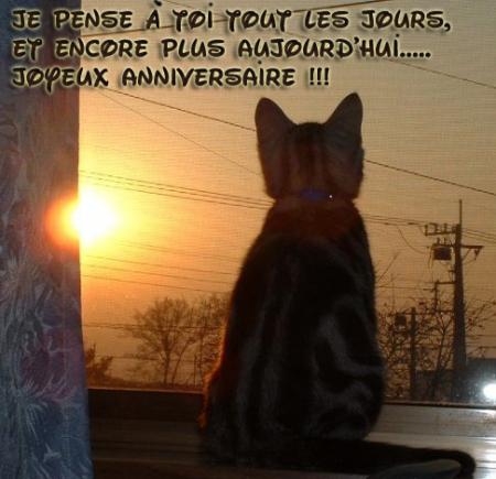 bon anniversaire